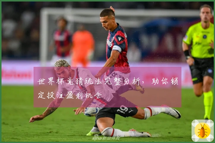 世界杯竞猜玩法完整分析，助你锁定投注盈利机会