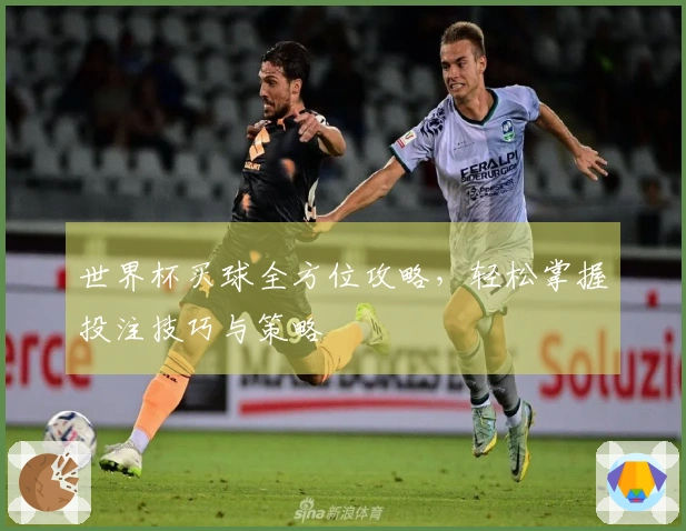 世界杯买球全方位攻略，轻松掌握投注技巧与策略