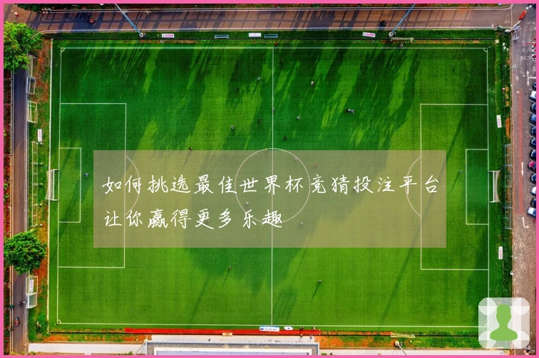 如何挑选最佳世界杯竞猜投注平台让你赢得更多乐趣