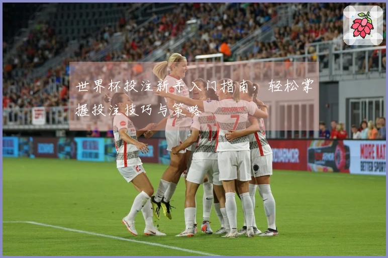 世界杯投注新手入门指南，轻松掌握投注技巧与策略