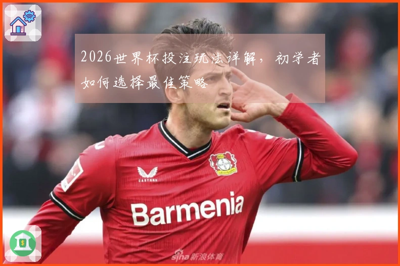 2026世界杯投注玩法详解，初学者如何选择最佳策略