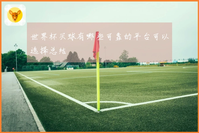 世界杯买球有哪些可靠的平台可以选择总结
