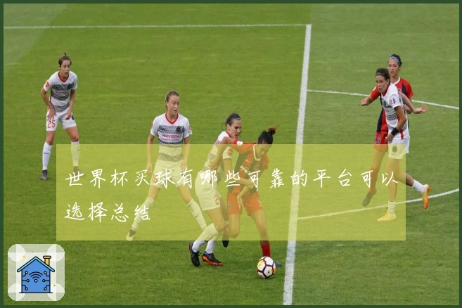 世界杯买球有哪些可靠的平台可以选择总结